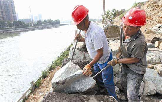 加固河堤,工人正在加固河堤