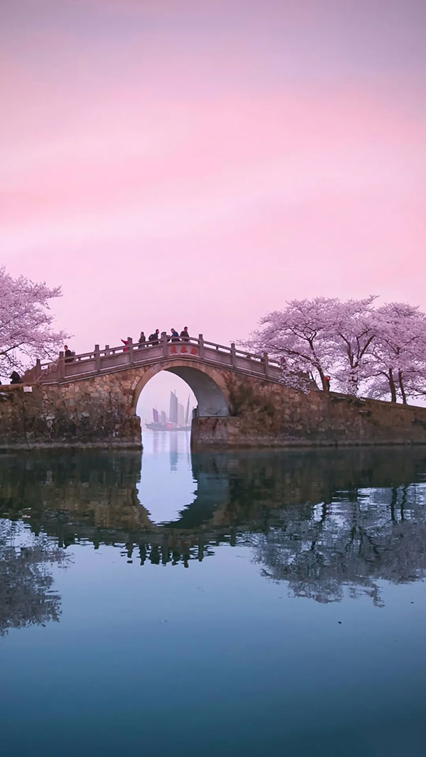 官杀旺而混杂的女命，无限夕阳在黄昏